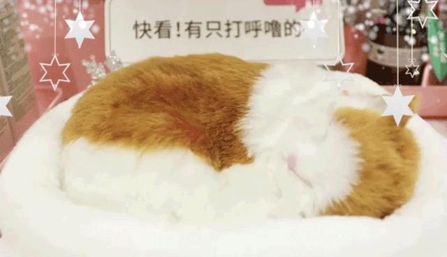@所有猫控！万菱汇「猫咪美妆店」，任吸任摸！还有GD限量同款