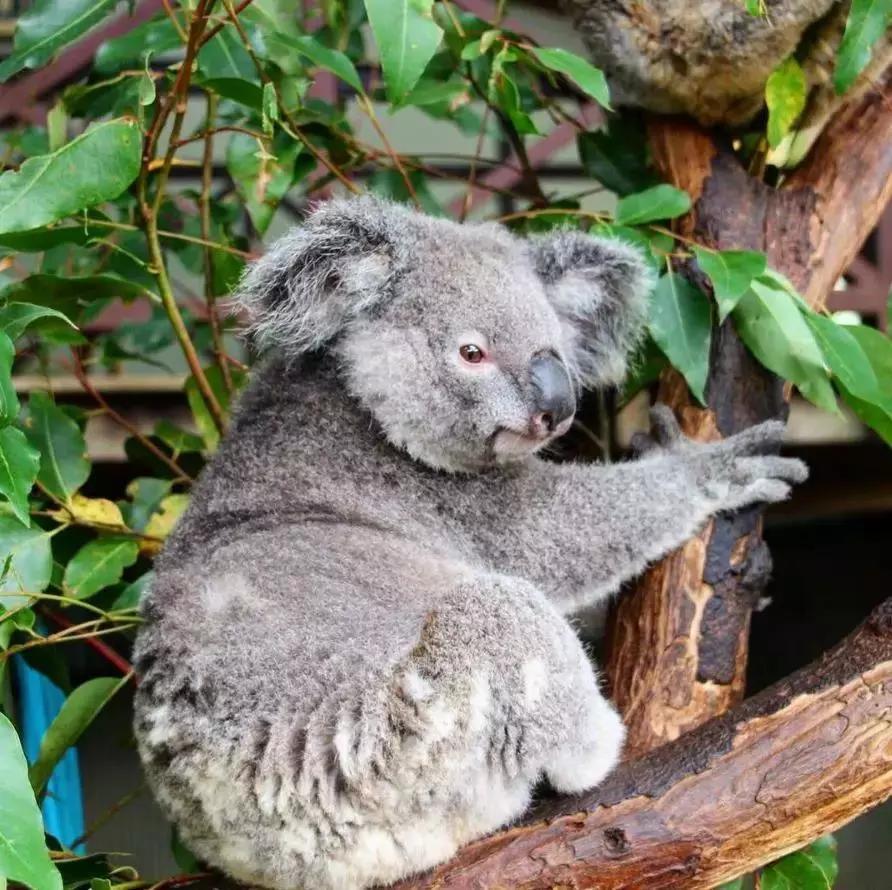 人民币去哪个国家汇率高,人民币汇率再“破7”