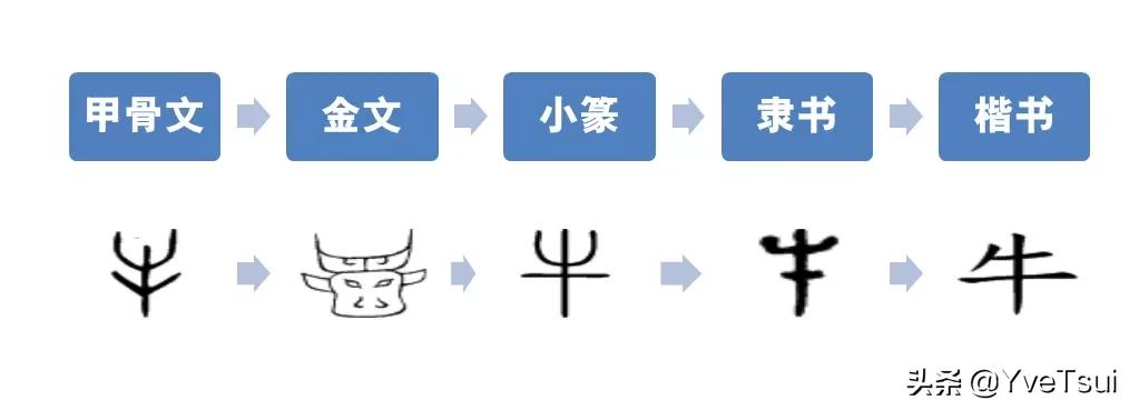 金牛纳福牛年生肖纪念币,85年金牛币