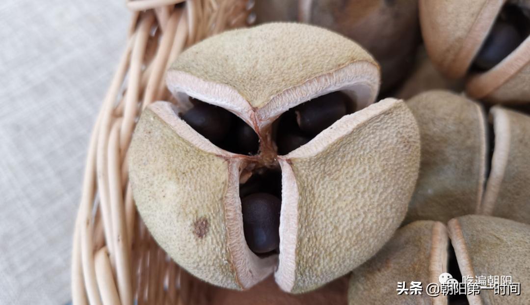 朝阳这家高颜值小店，冰淇淋1元1支？位于市中心，还有辽宁礼物