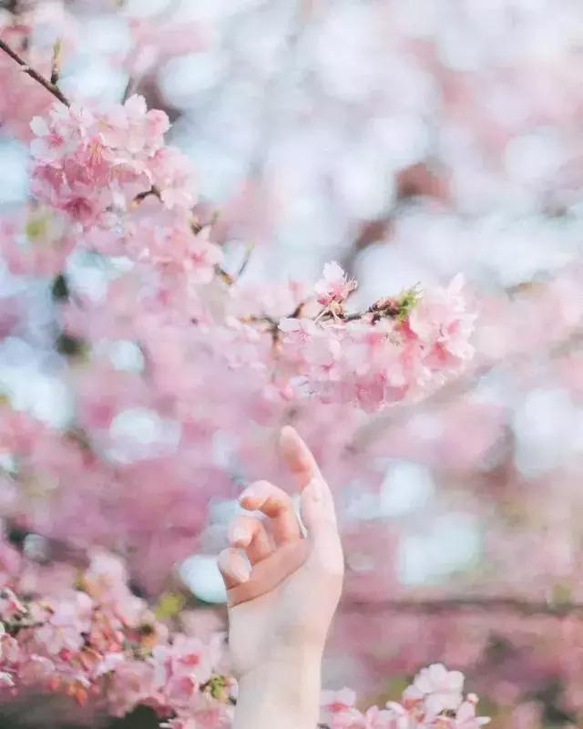 摄影怎么拍才好看教程,如何学会摄影拍照技巧