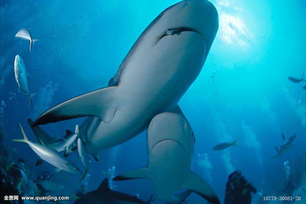 代沟是父母还是子女的责任例子,代沟是孩子造成的还是父母造成的