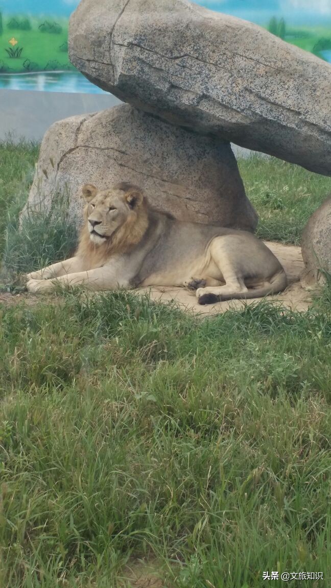 山东德州动植物园旅游区,德州市动植物园视频