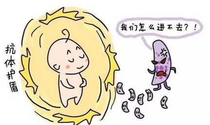 新手妈妈必备的护理知识,母狗产后护理三大禁忌