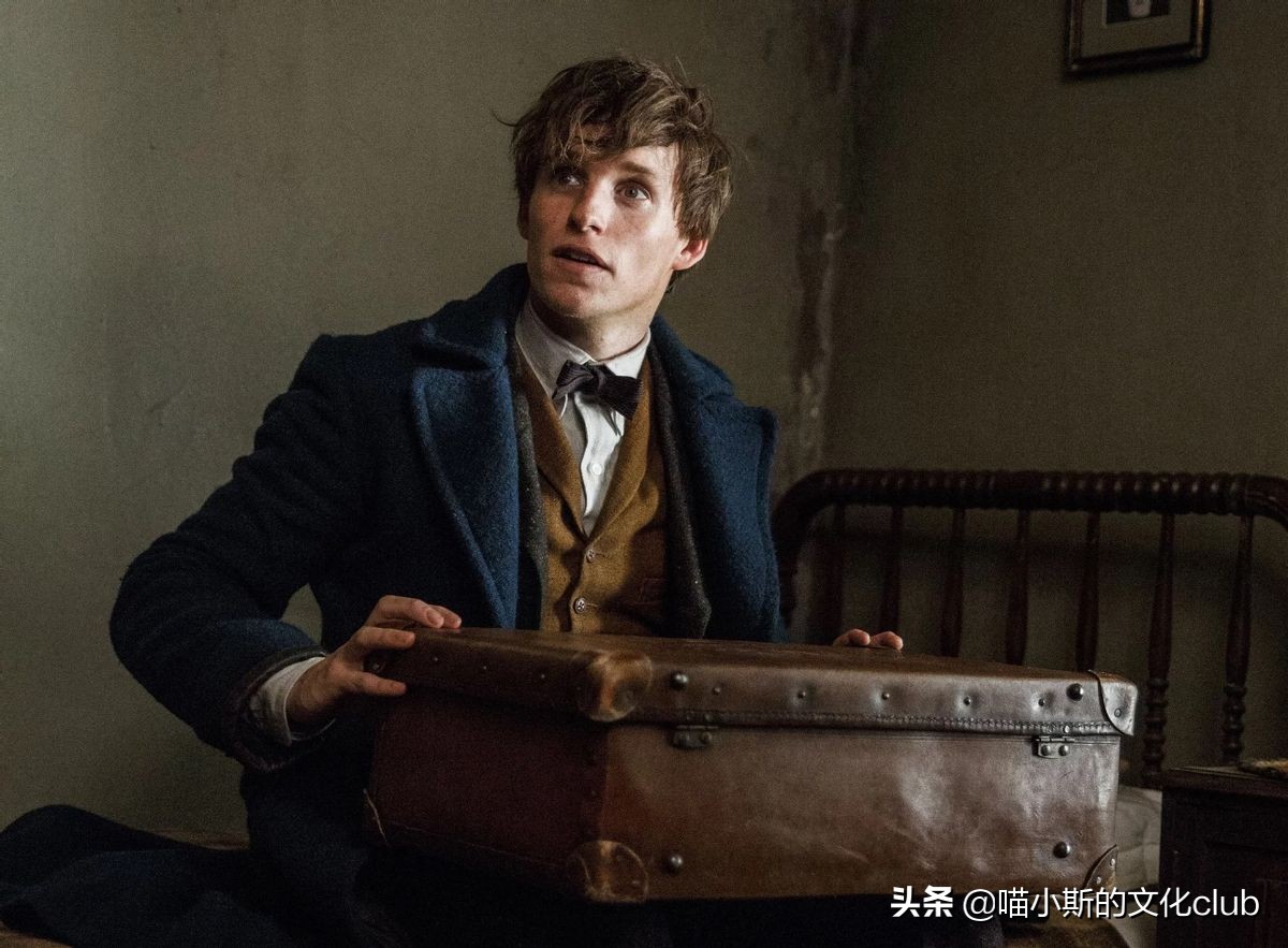 哈利波特：都是被学校开除，为什么纽特可以保留魔杖，海格不行？