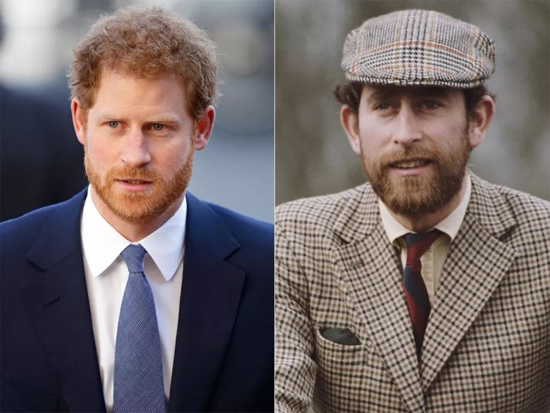 查尔斯长得像谁,查尔斯评价哈里