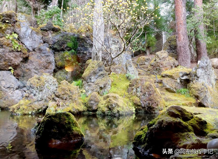 日本顶级的庭院,日本最漂亮庭院