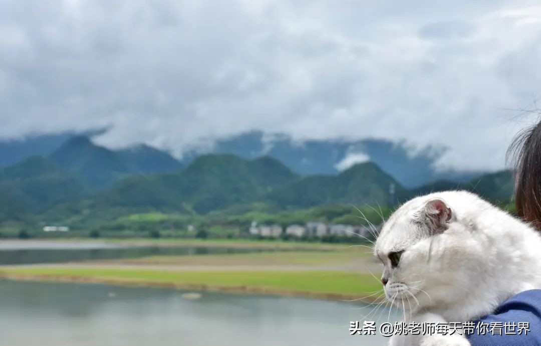 浙西低调山水小城，入选2021全球最佳旅行地邂逅早春一方秘境