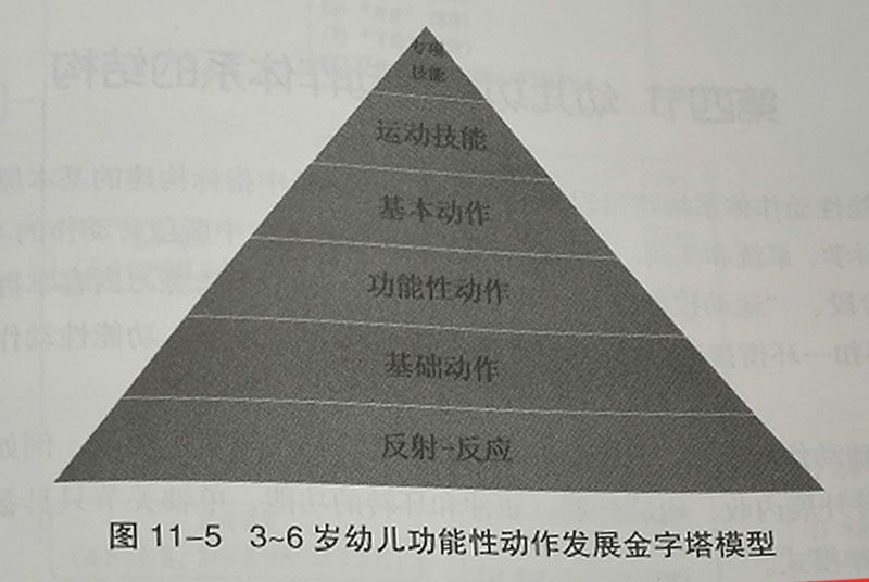 C4gym惊奇｜3-6岁幼儿体能训练的意义和作用