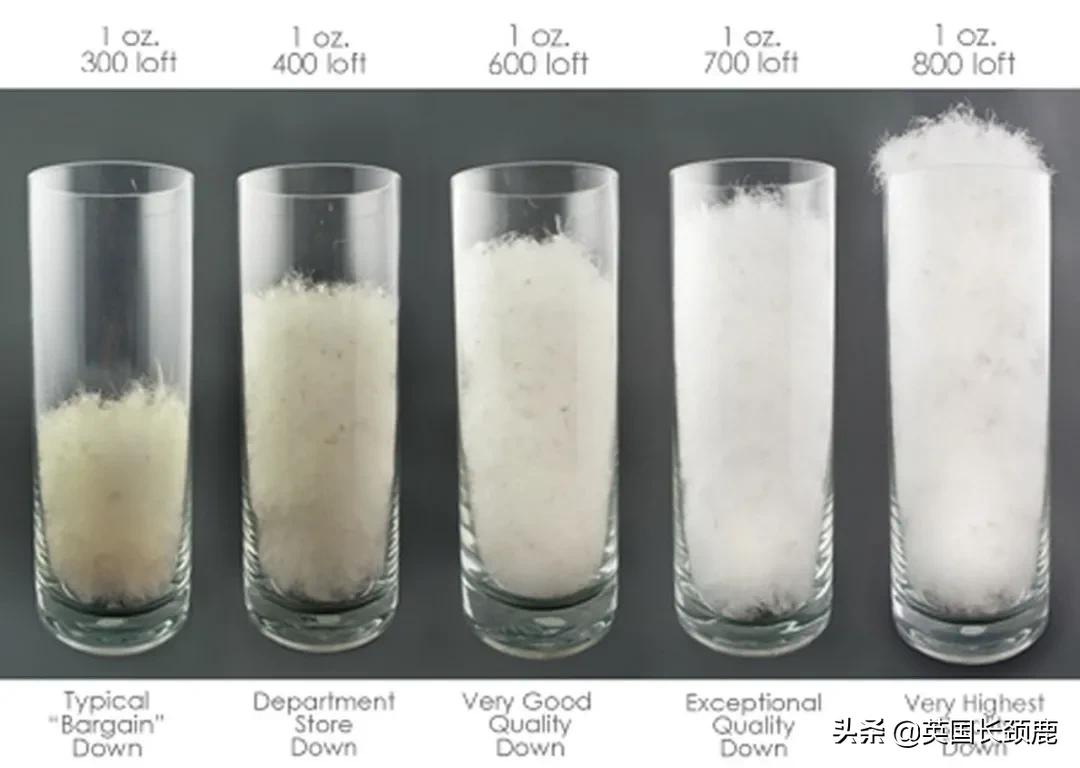 英国保暖外套,英国都穿什么羽绒服