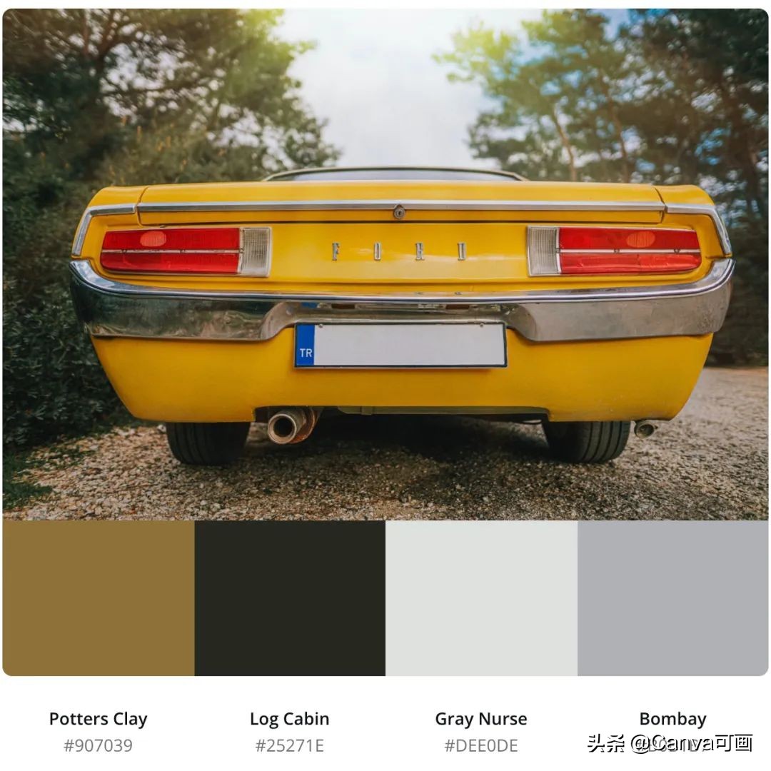 秋天配色插画秋高气爽,秋季高清插画