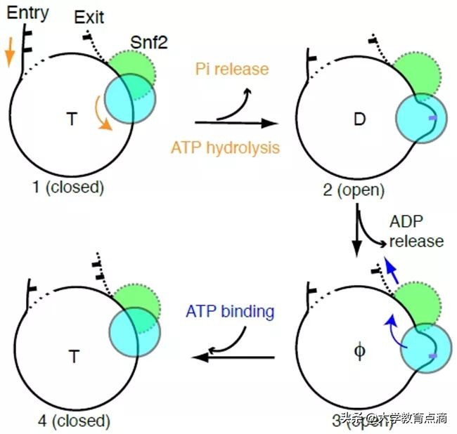 清华大学当前的前沿科技,清华大学科技成果
