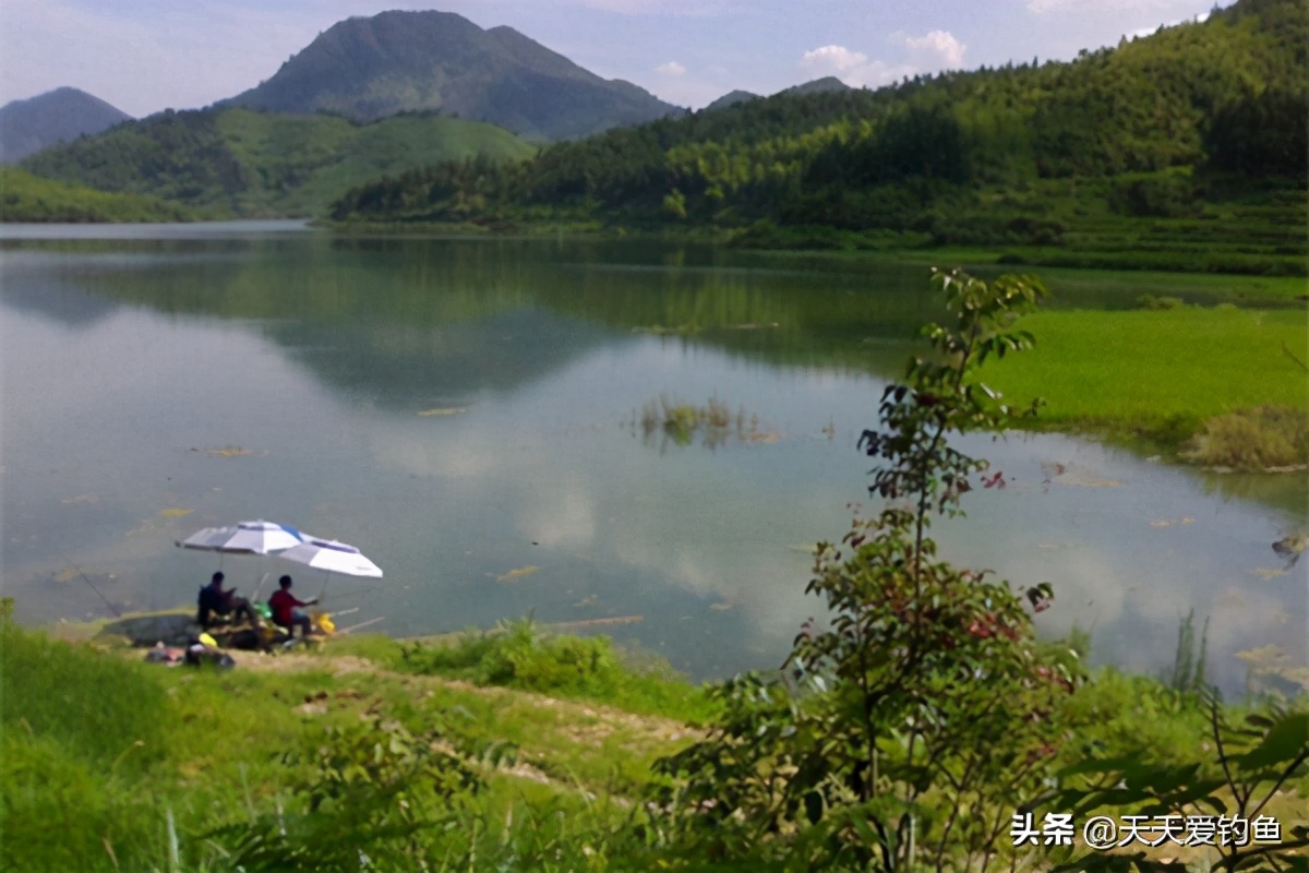 野钓老是顶漂不中鱼怎么办,野钓怎么避开过山鲫钓位