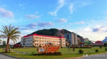 海螺集团为什么能跻身世界500强,海螺哪年进入世界500强