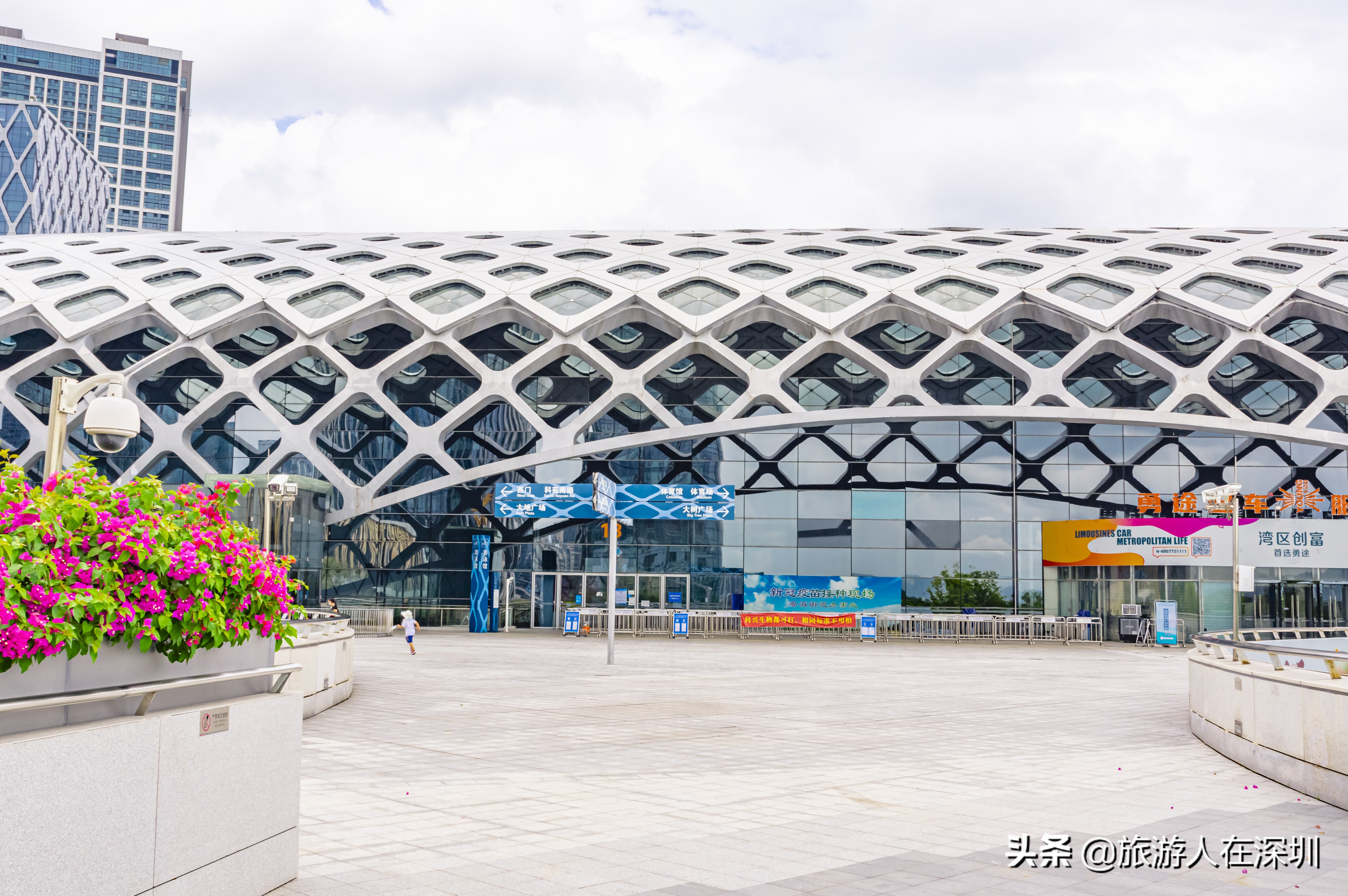 鸟巢体育场建筑特点,深圳湾体育中心像什么