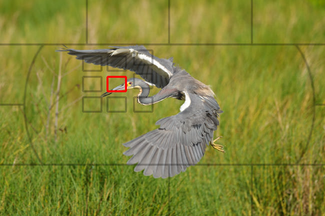 单反相机的设置和使用技巧,单反相机入门必要设置