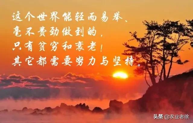 经销商怎么做自己的品牌,经销商如何选择适合自己的品牌