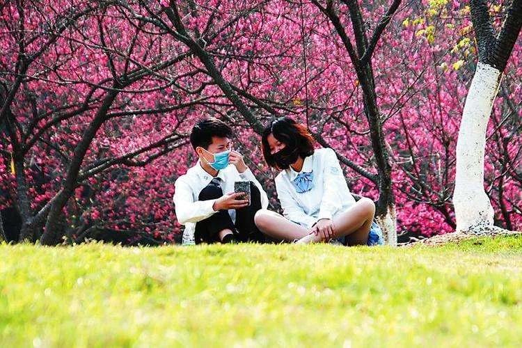 天津最近新开放的公园,天津东疆亲海公园2022年开放吗