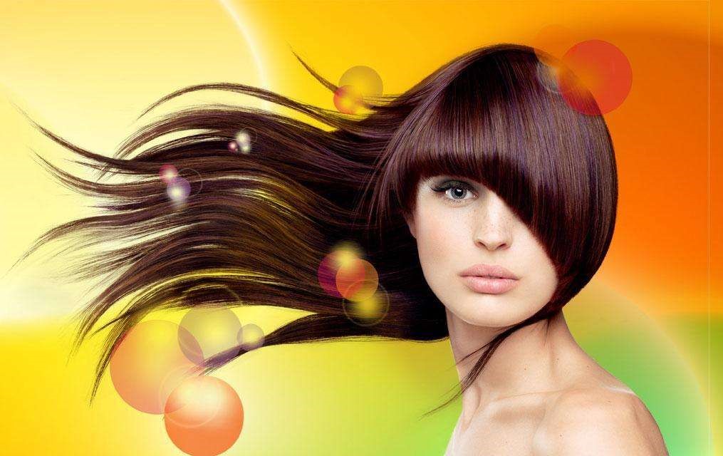 卡诗黛丝洗发水测评,卡诗大瓶洗发水哪款好