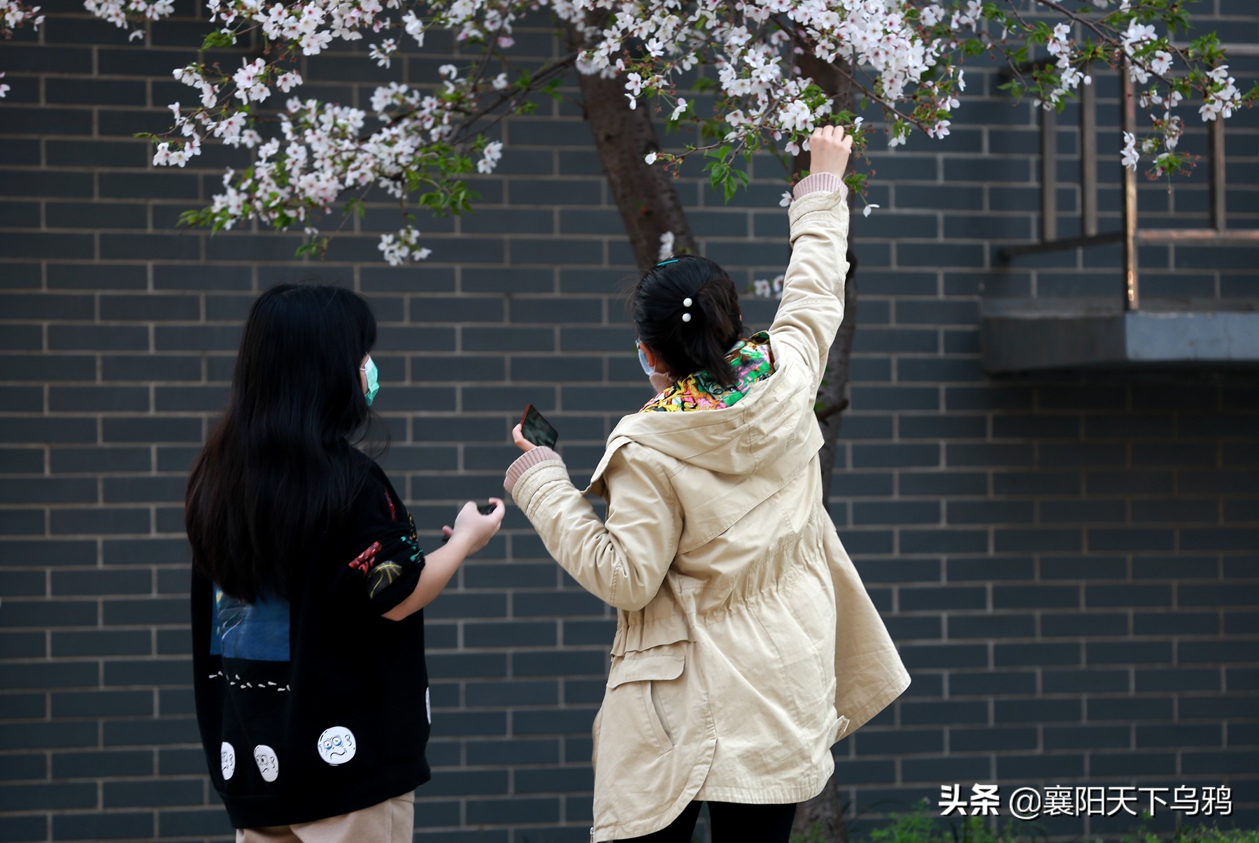 一些事情,谁都不愿意做,但总得有人去做