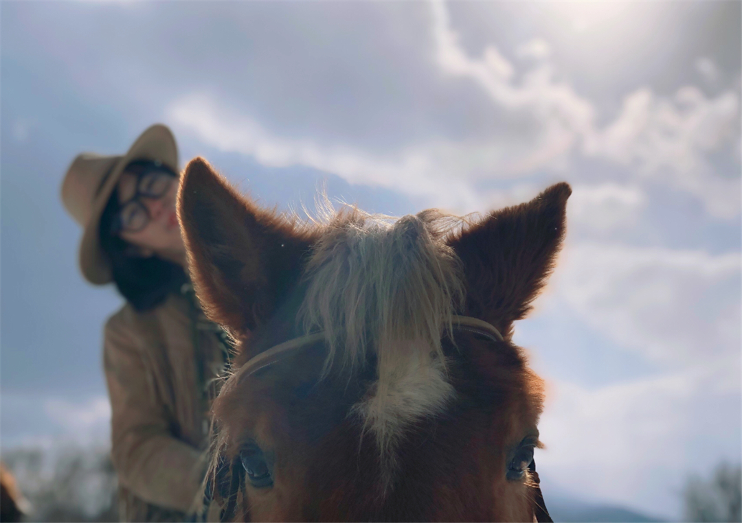 日本札幌县,日本札幌市一年四季