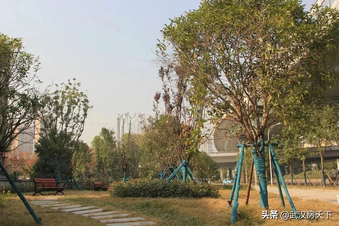 未来5年武汉龙湖,武汉市民又添春日好去处
