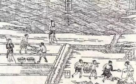 唐代租庸制和两税法,唐朝为什么要改革租庸调