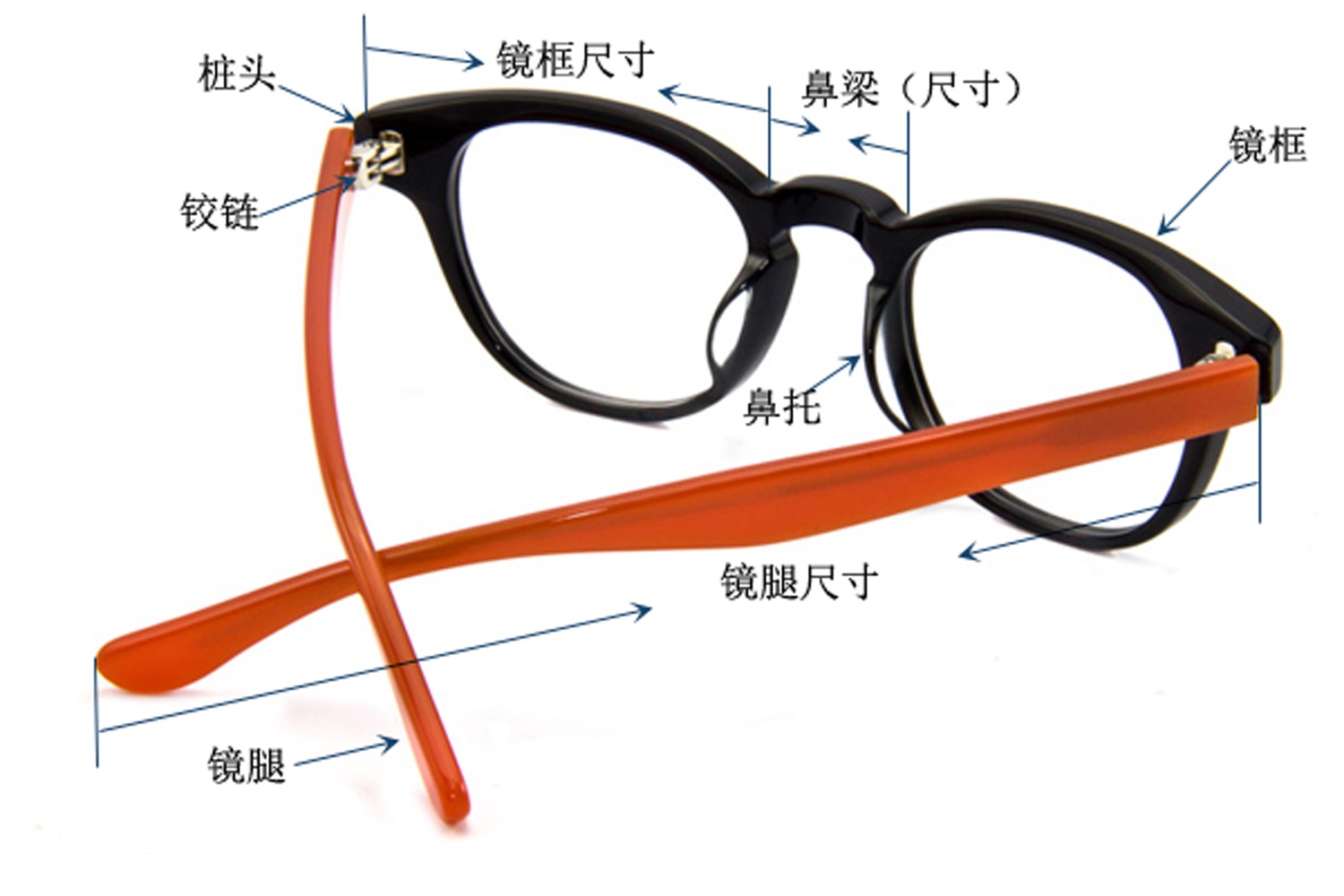 眼镜美学书,眼镜美学的内容有哪些