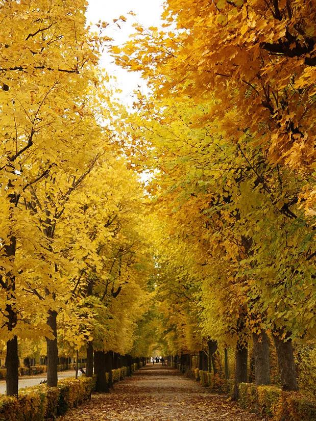 无窗小卫生间瓷砖色彩搭配,农村装修瓷砖搭配色彩