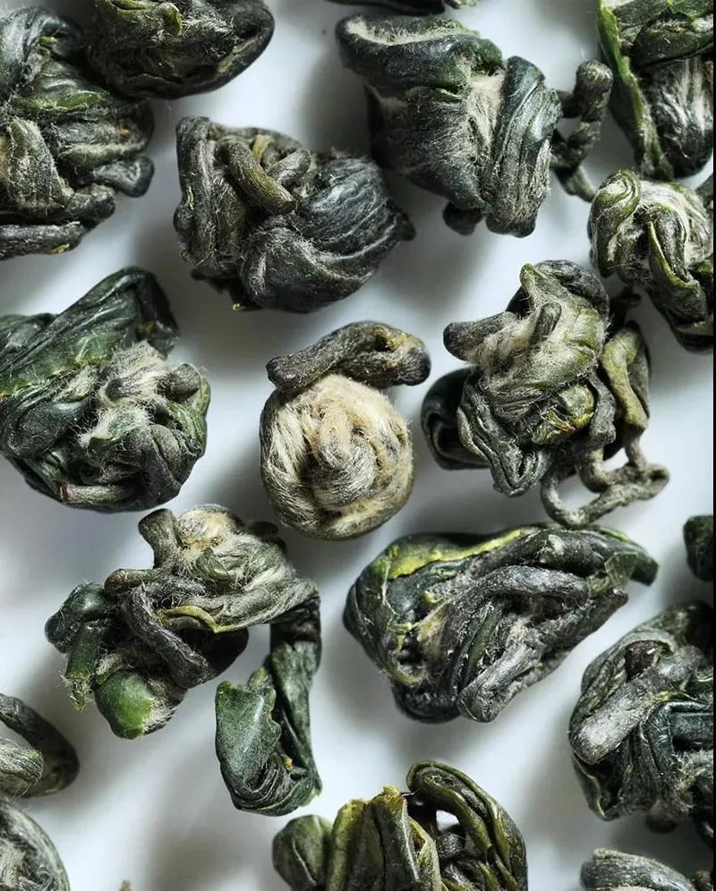 世界唯一的茶籽化石在贵州普安,茶籽化石被保存在哪个博物馆