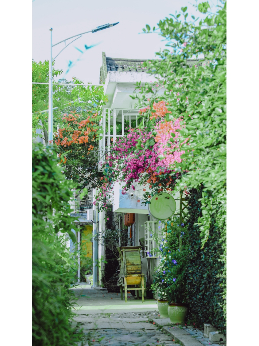 深圳皇岗拍照,深圳湾红树林公园拍照姿势