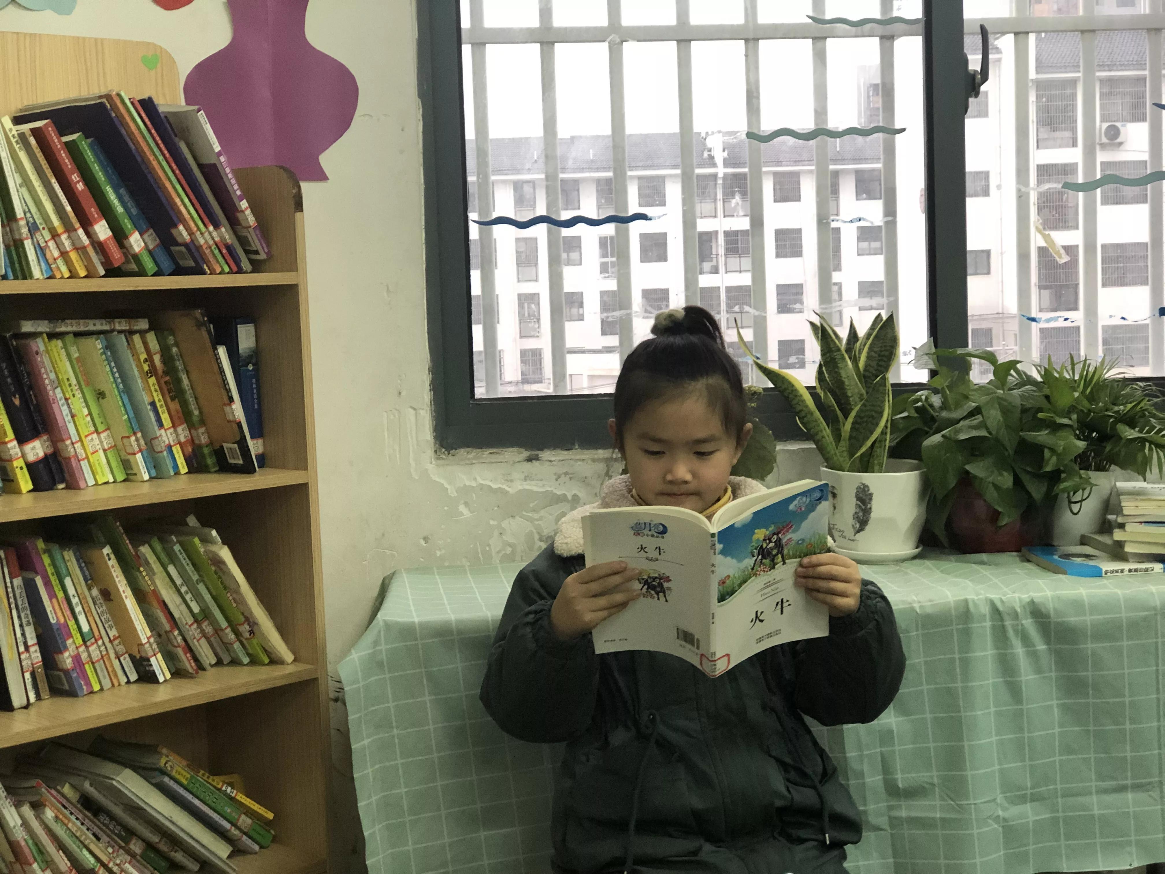 播下一颗种子收获一份快乐,播下一粒成长的种子