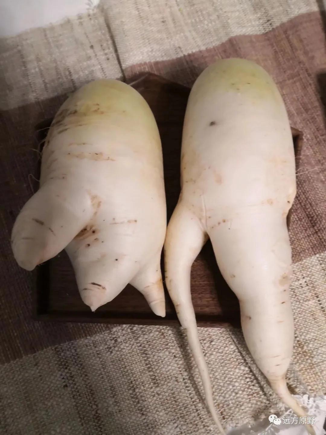 你想要的田园生活在哪里,你所向往的生活是什么