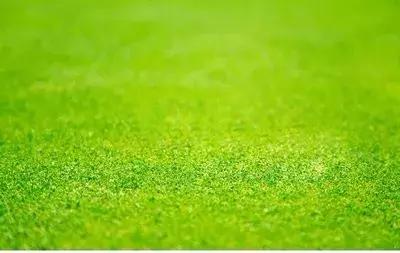 妈妈的玻璃心,钢铁玻璃心