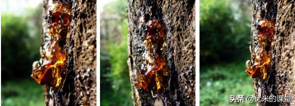 吹爆全网的护肤成分，如小核菌胶、透明质酸，可能只是一个增稠剂