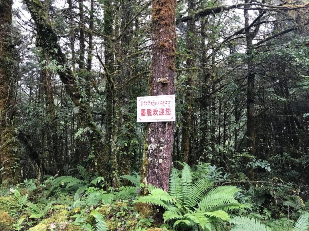 中国徒步墨脱第一人,墨脱中国徒步之首