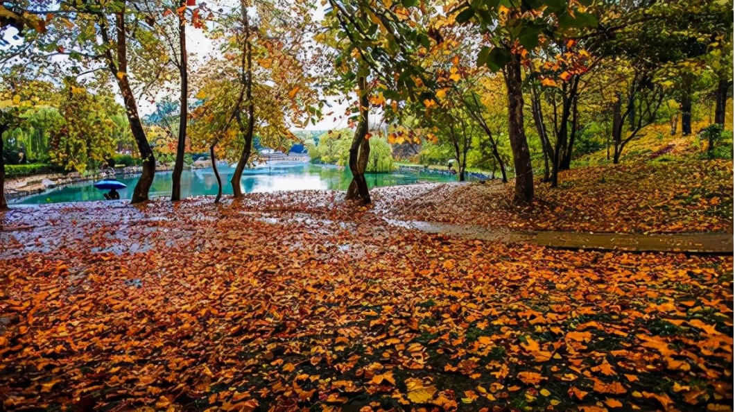 诗溢西夏的作品,诗溢