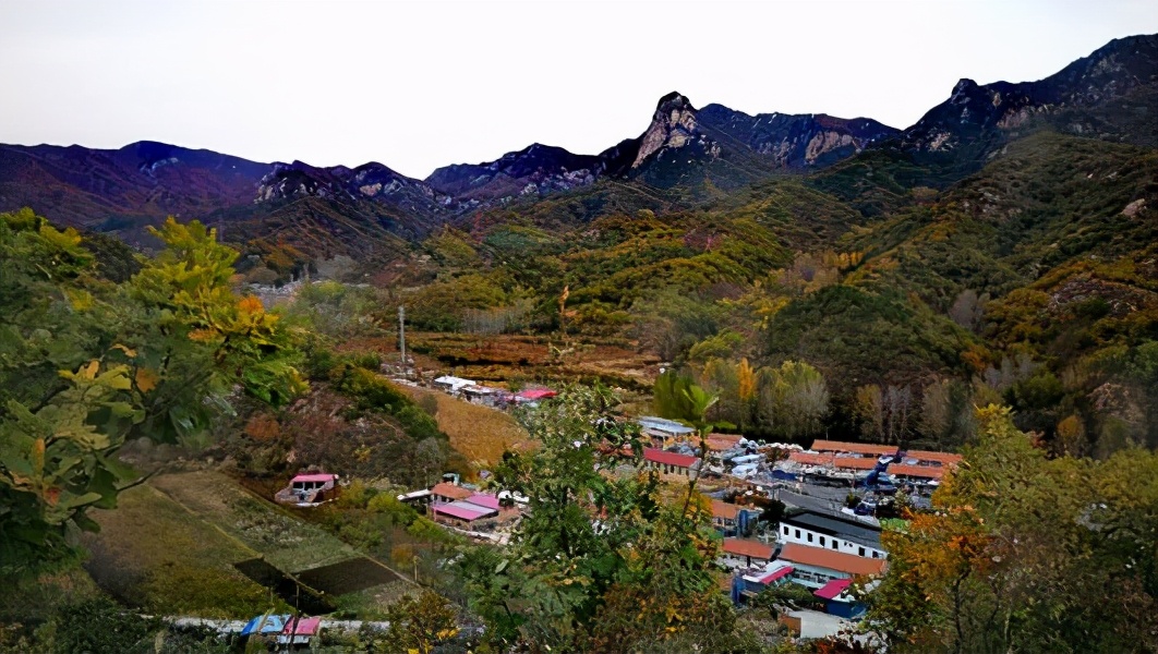 散文落叶片段,散文落叶歌曲