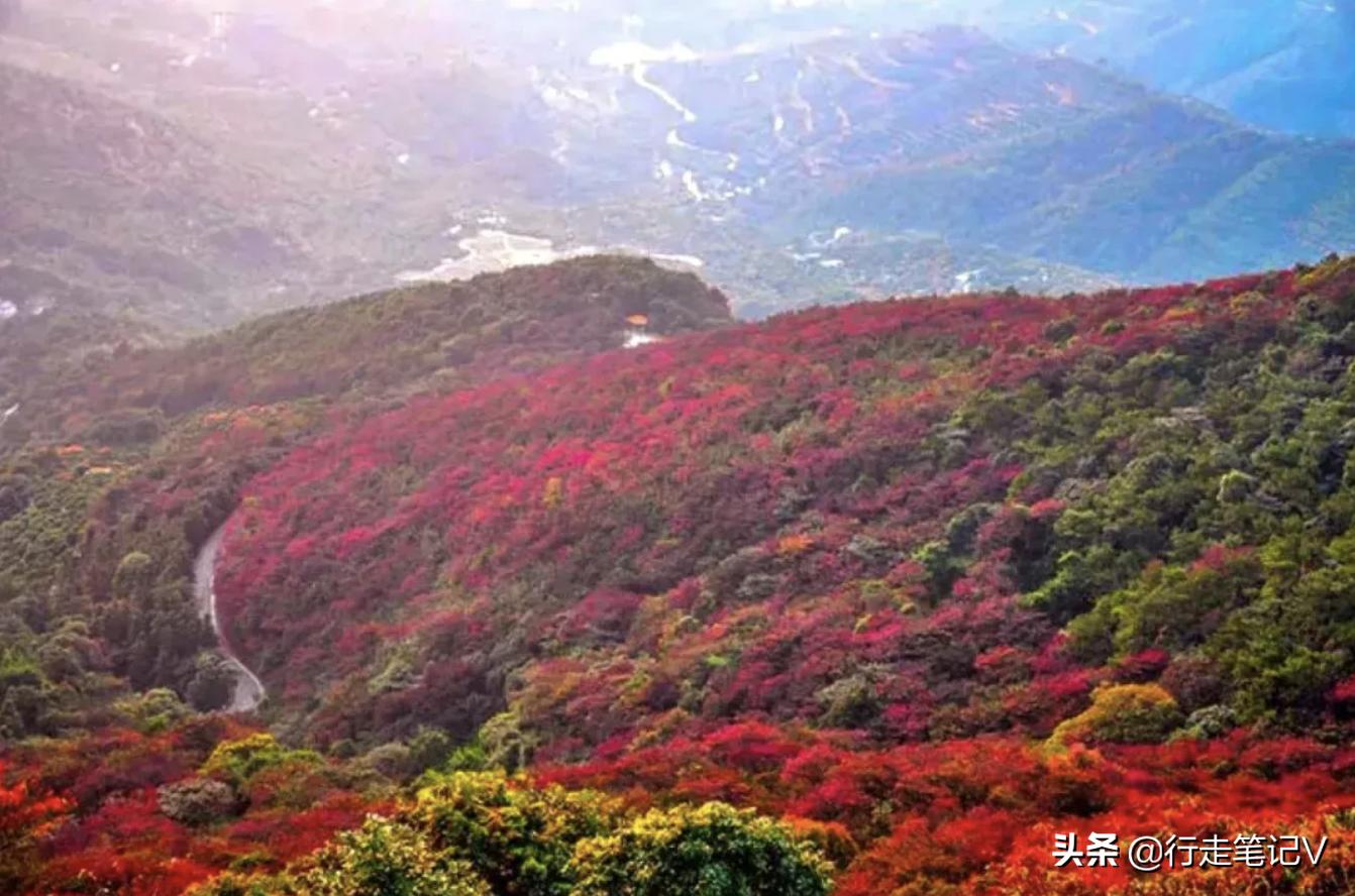 从化温泉野游,广州从化温泉别墅打卡之旅