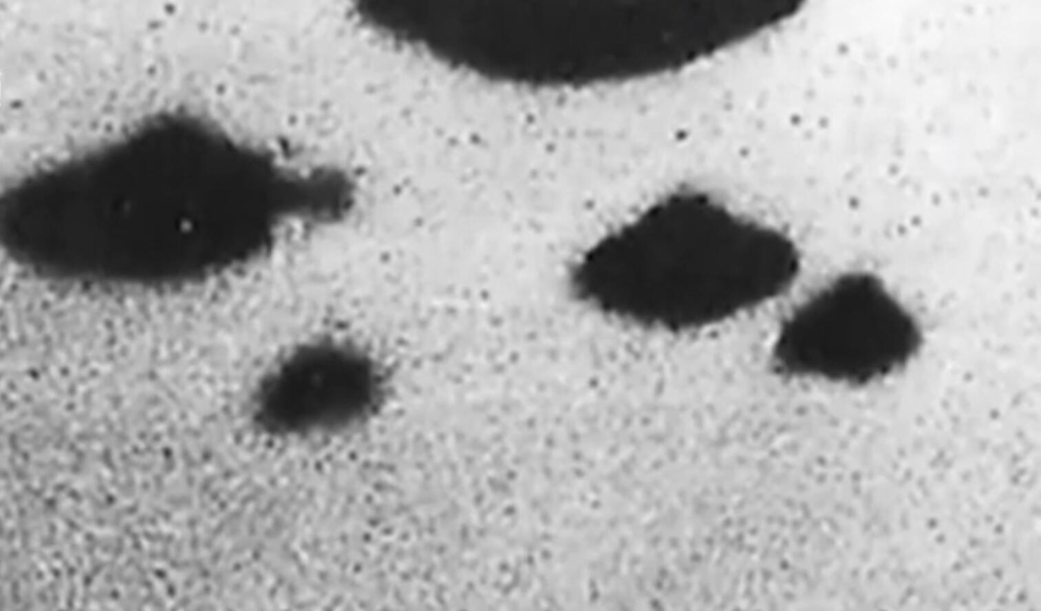 美国发现不明飞行物真的存在吗,美国解密不明飞行物现象