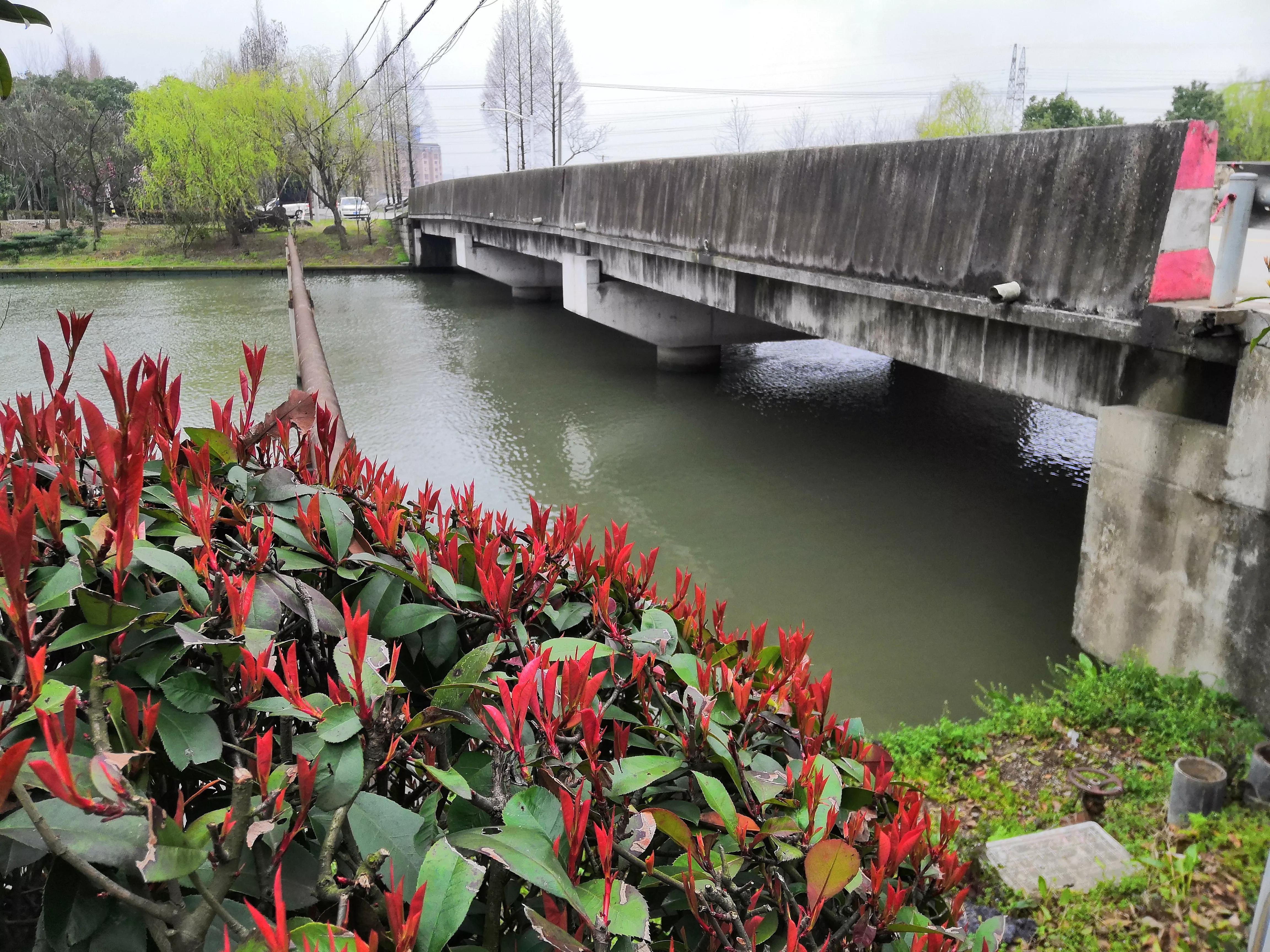 禁渔哪些地方可以钓鱼,河道禁渔期是否可以钓鱼