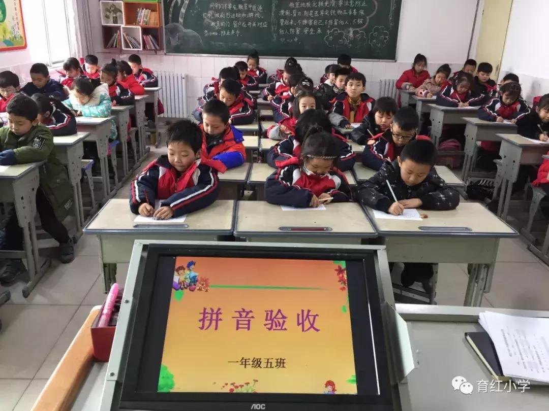 小学语文一年级音节拼写训练,汉语拼音素养评估一年级