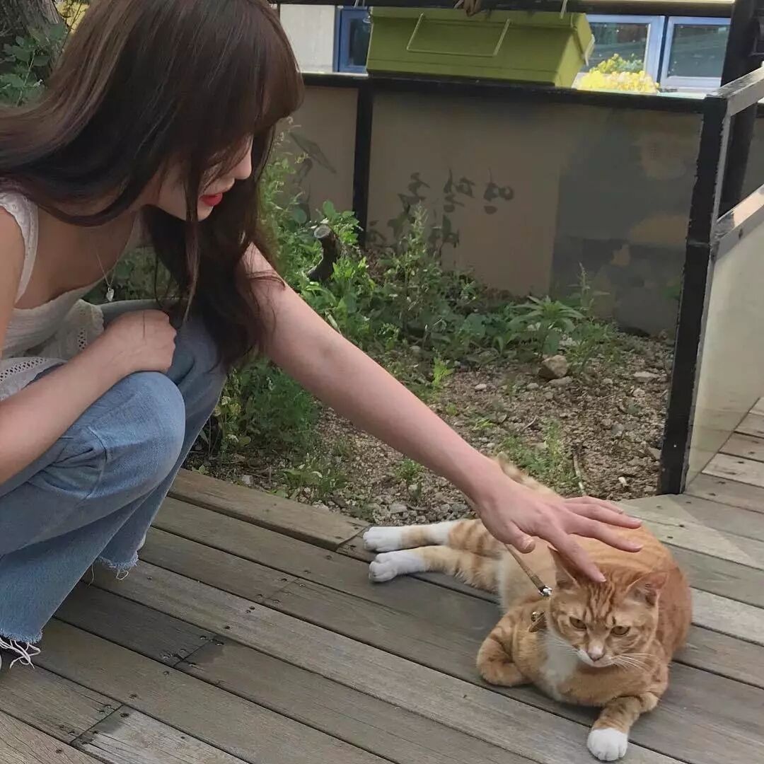 适合官宣爱情的句子,官宣恋爱的简短句子