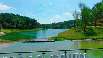 珍稀鸟类现身成都,在双流春游看花