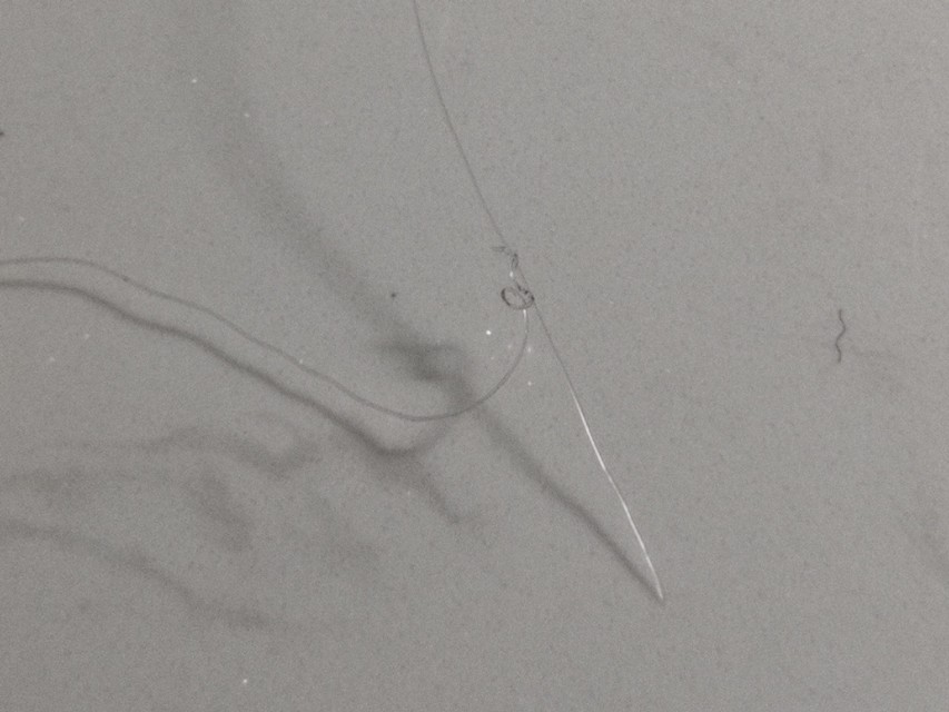 主线子线连接八字环方法一样吗,主线子线连接八字环全套动作