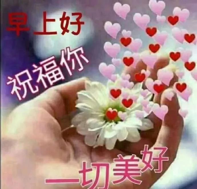 最新的早上好问候语句图片,微信早上好问候祝福语图片大全