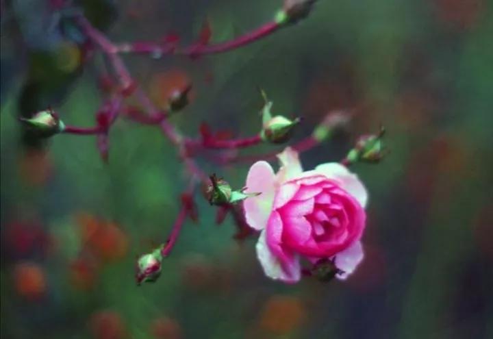 越狱看得懂吗,越狱者在什么地方能看