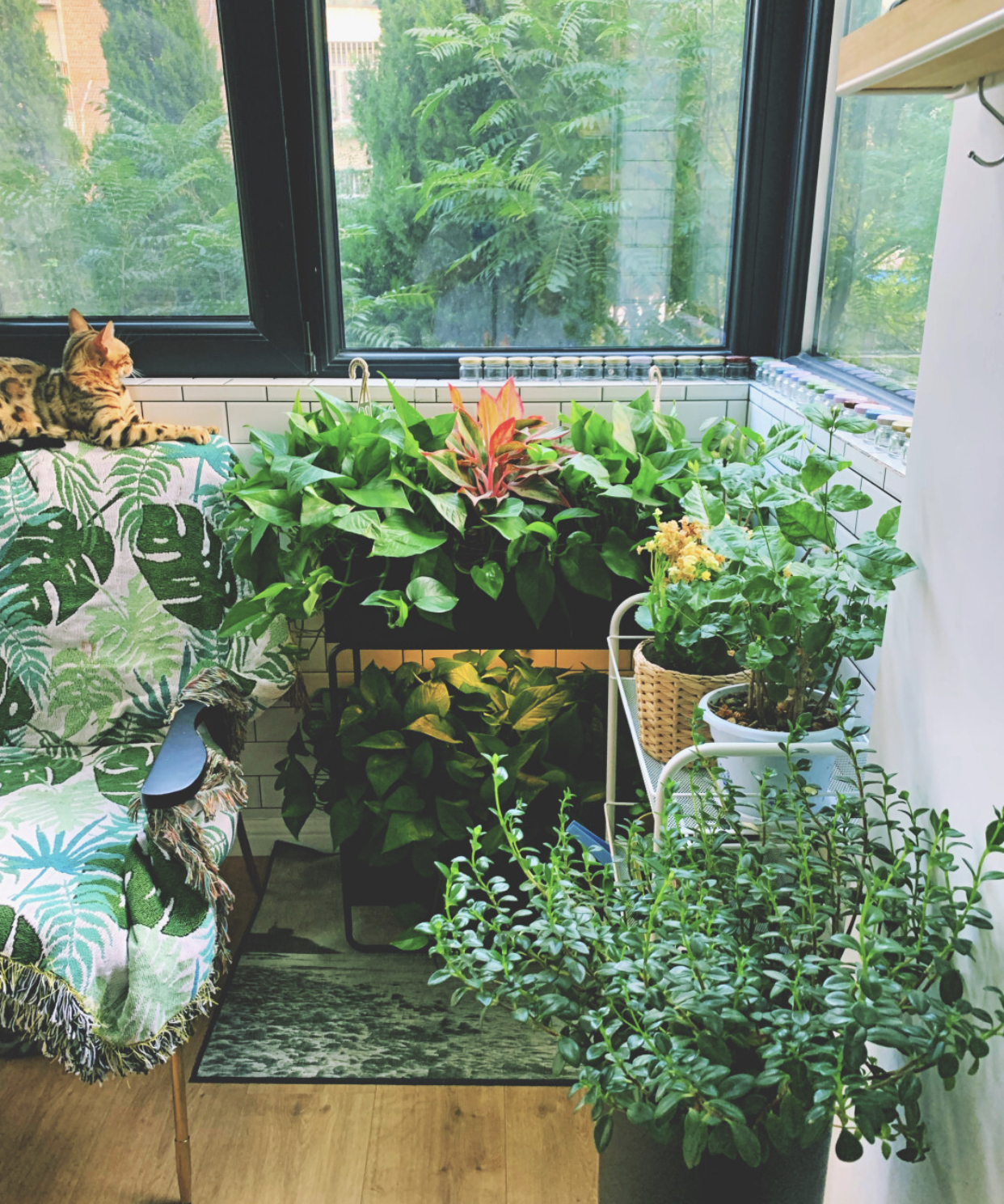 家里家外都收拾得井井有条,这是我见过最强收纳家具