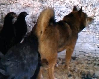 第一次人机大战电影,第一次人机战争