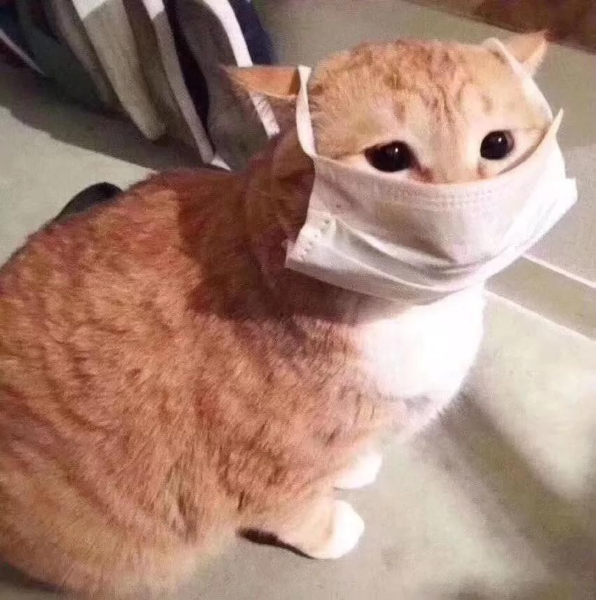 伪科普贴,科普贴真的有用吗